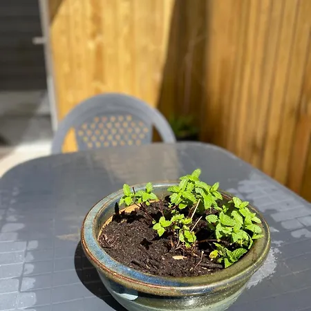 Serenity Housse Сasa de vacaciones